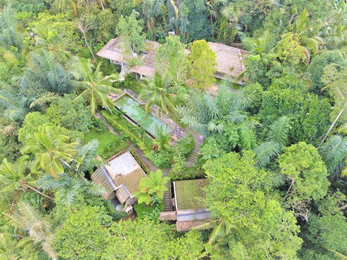 Rimba Ubud Tegallalang (Bali)