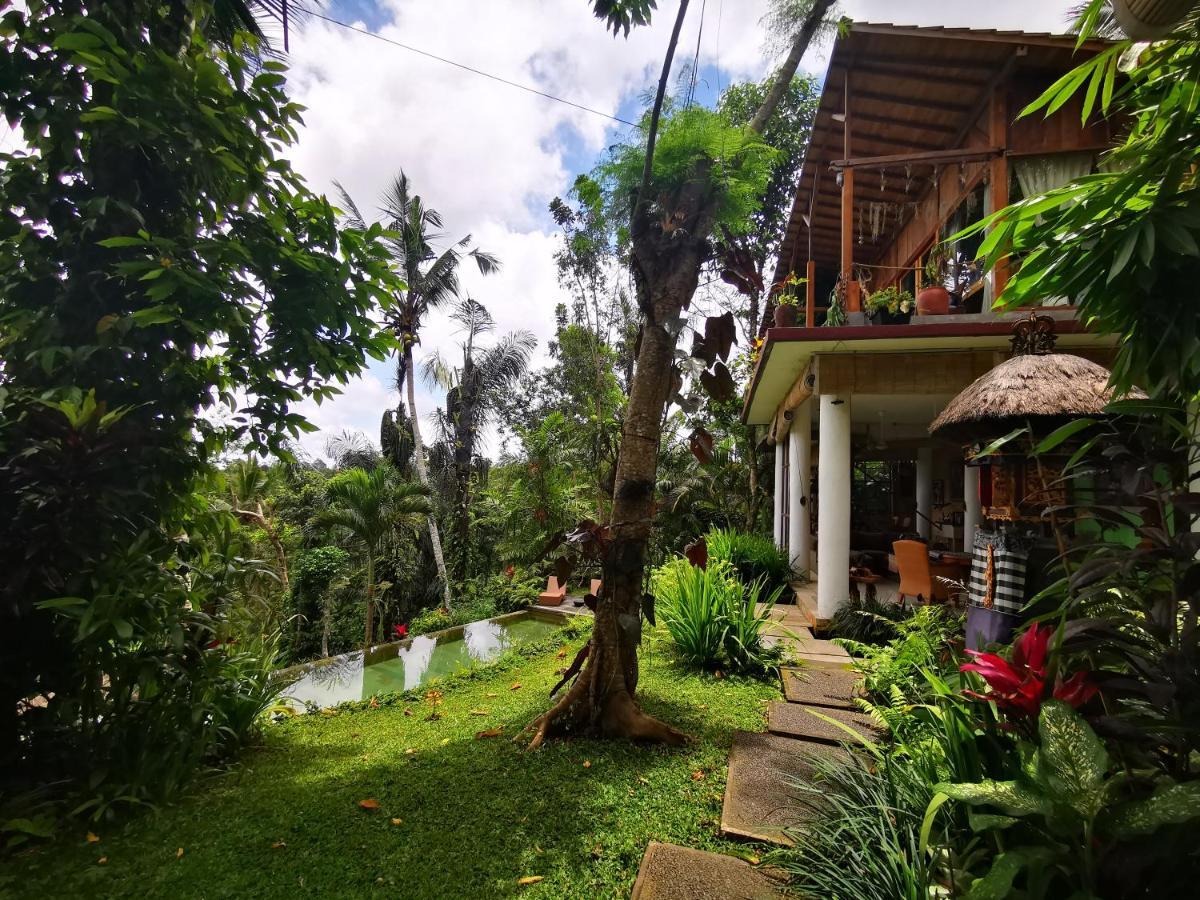 Rimba Ubud