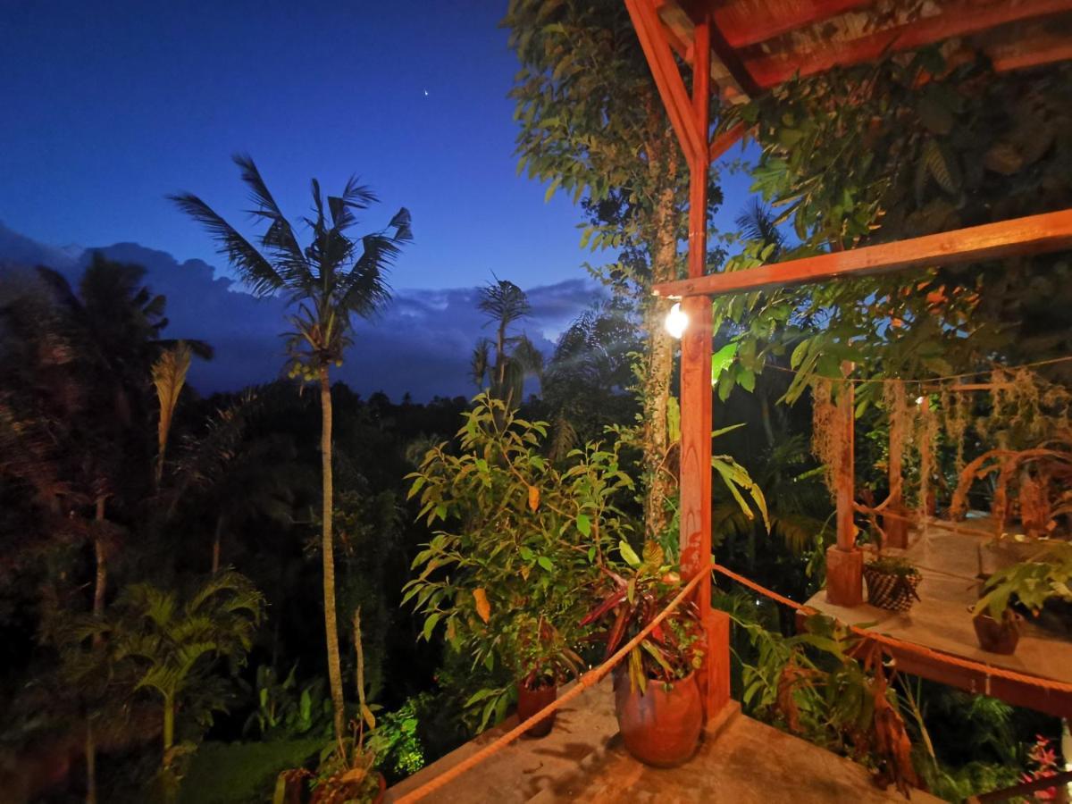 Rimba Ubud