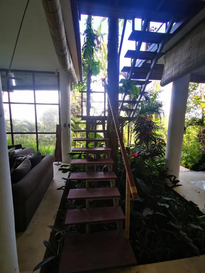 Rimba Ubud * Tegallalang (Bali)