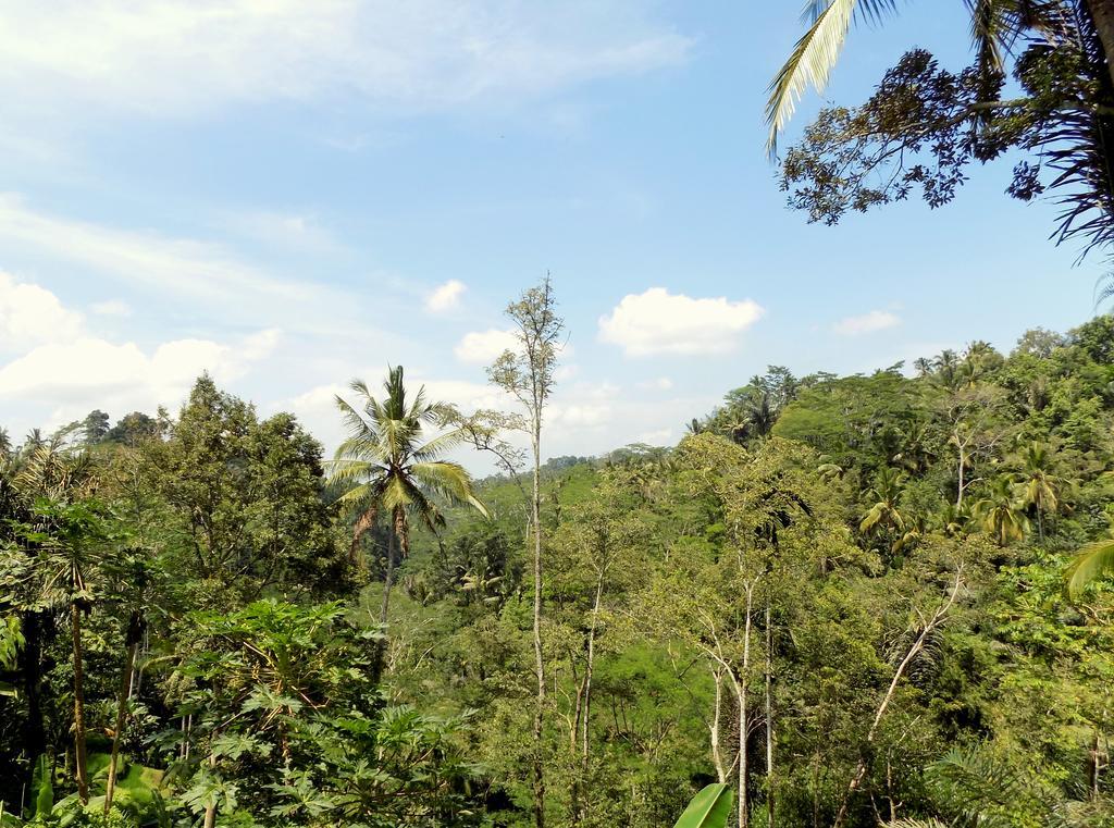 Rimba Ubud Villa Tegallalang (Bali)